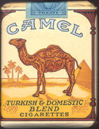 camel.jpg